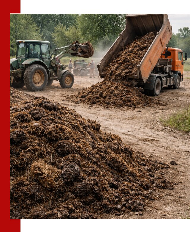 Доставка навоза самосвалами в Устях-Лабинске для сельхозпотребностей